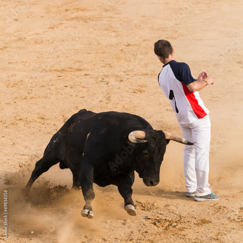 Recortes a Toros Bravos