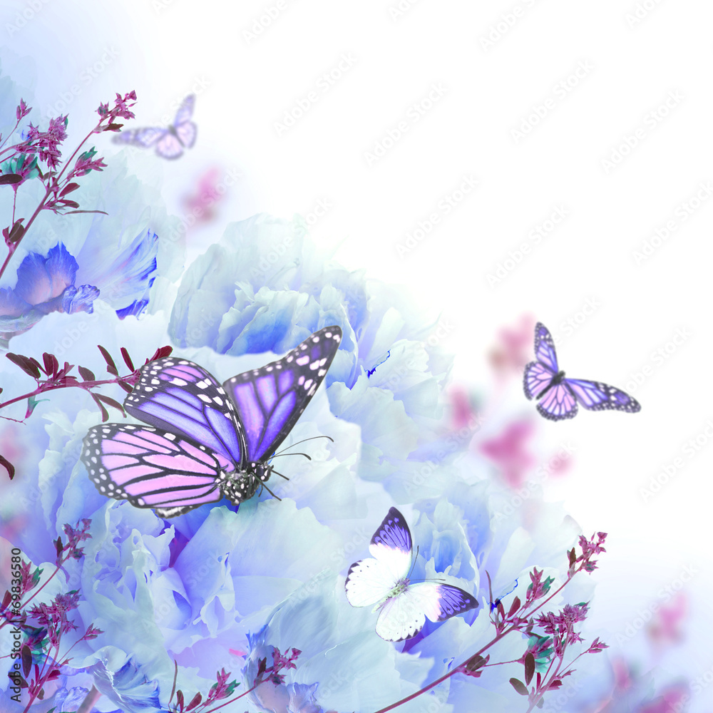 Fototapeta premium Floral background of roses and butterfly, wild flowers