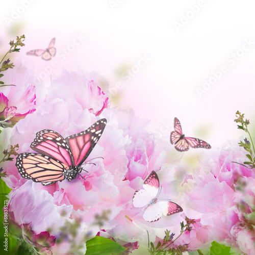 Floral background of roses and butterfly, wild flowers