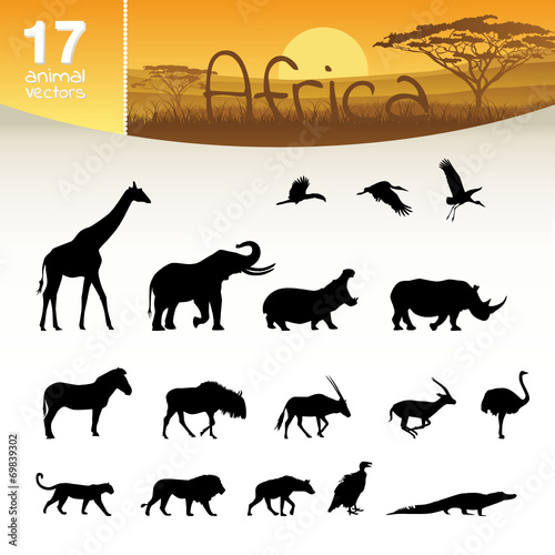 Afrika Set