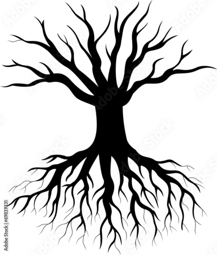 Tree silhouette