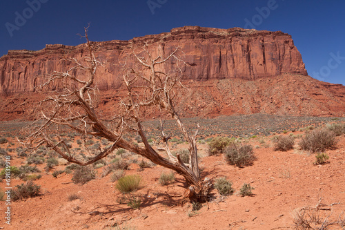 USA - Monument valley photo