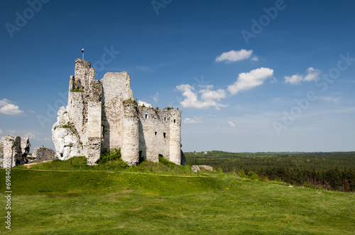 knight's castle in Mirow, Poland photo