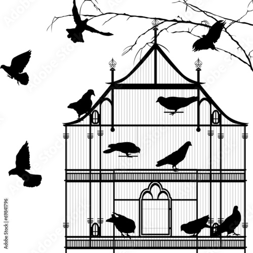 Birds and birdcage graphic