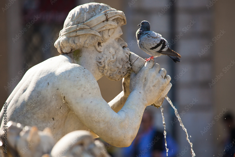 Fototapeta premium Fontana del Moro
