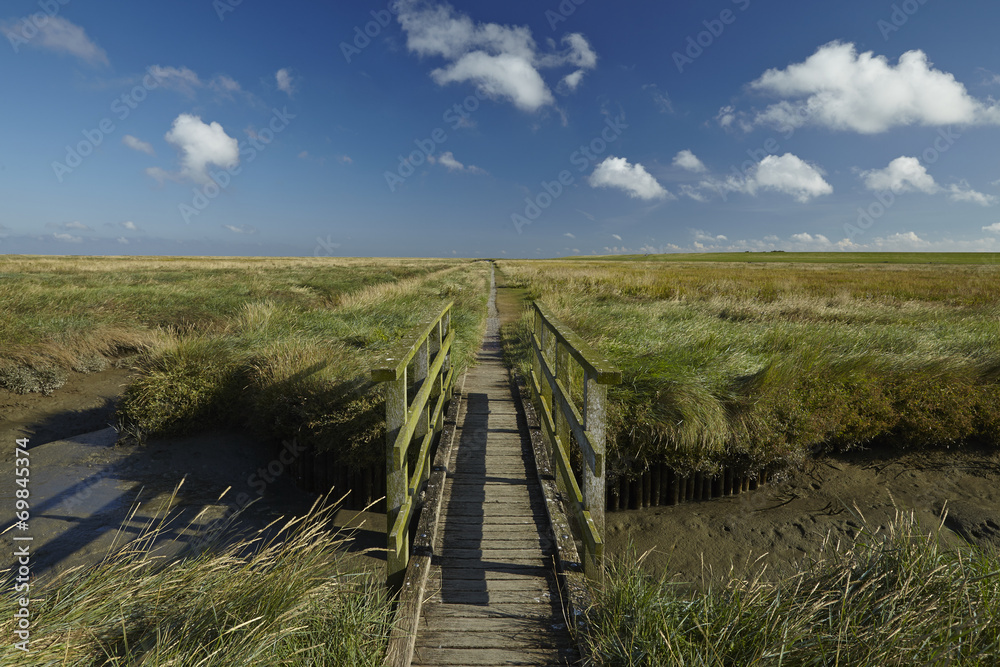 Westerhever - Salzwiesen mit Steg