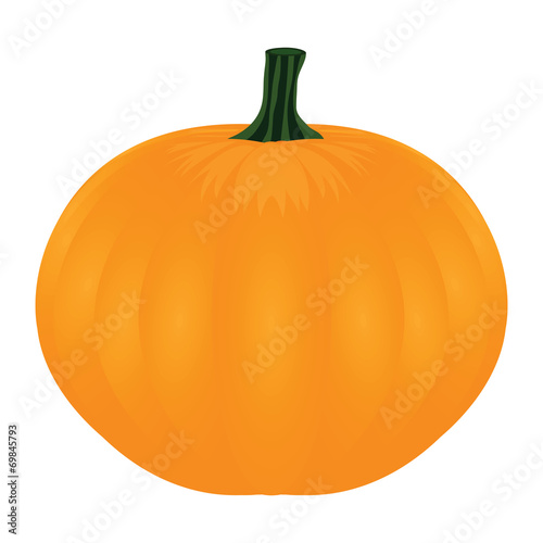 Pumpkin on white background