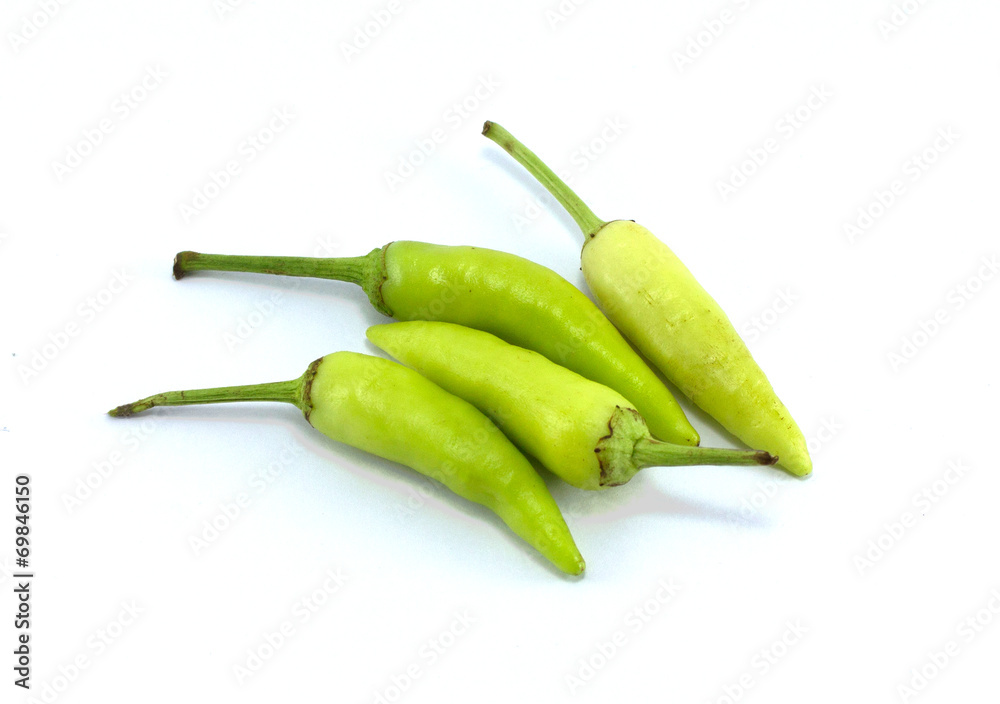 chilli peppers chilli peppers