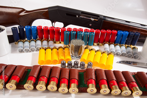 Gun and hunting cartridges