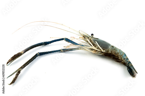 Close up banana prawn or shrimp isolated on white photo