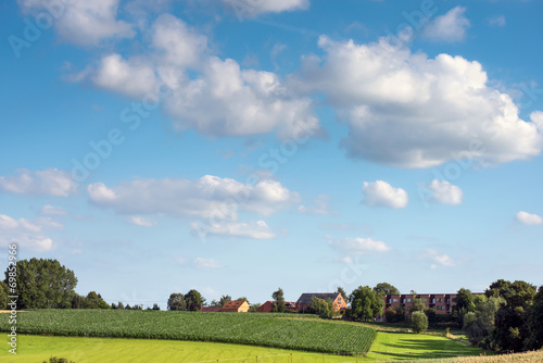 countryside landscape in Summer