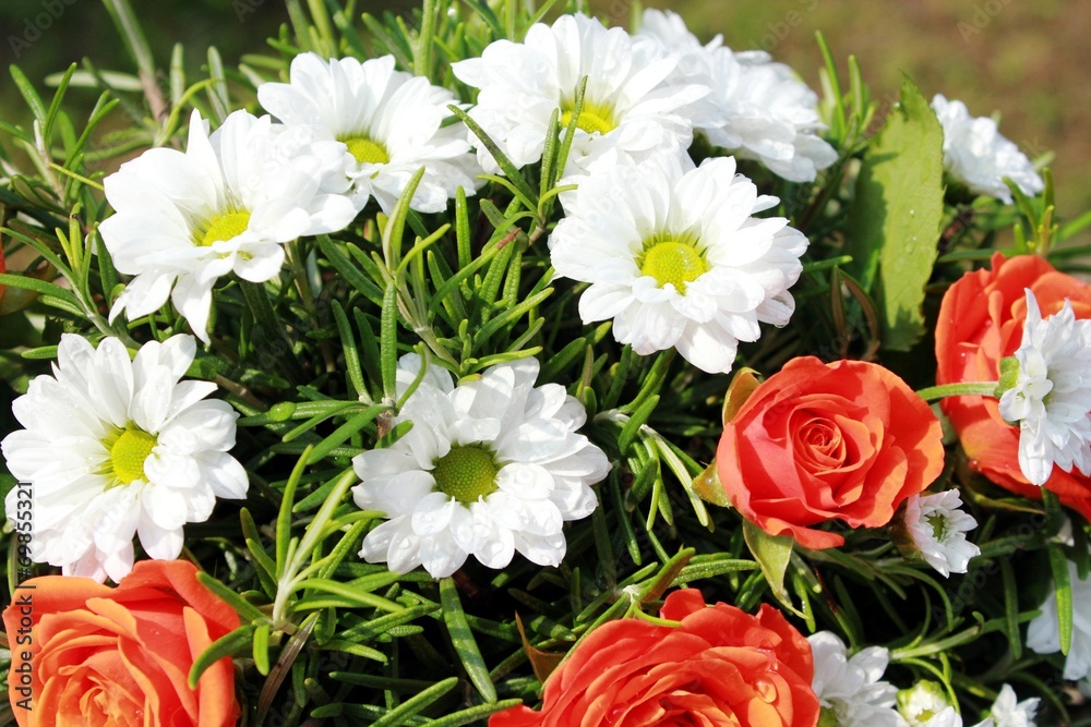 Fototapeta premium flowers