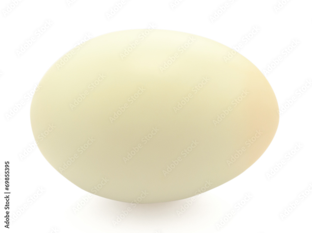 Fototapeta premium duck egg on white background