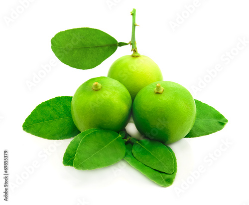 Wallpaper Mural Fresh limes Isolated on white background Torontodigital.ca