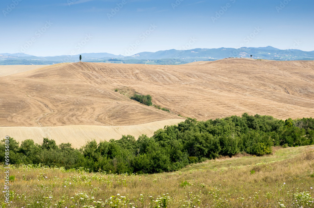 Naklejka premium Toscane Crete Senesi