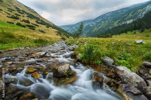 Beautiful mountain stream and fir trees in the Alps