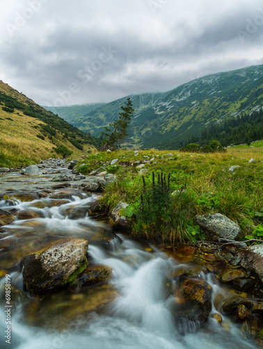 Beautiful mountain stream and fir trees in the Alps