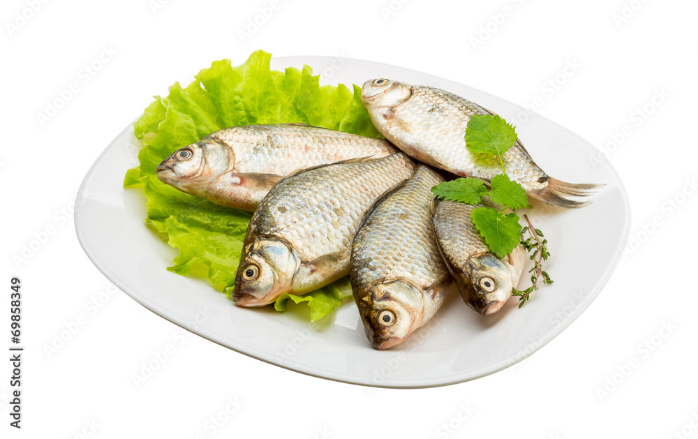 Crucian fish Crucian fish