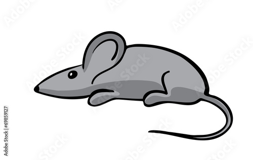 gray mouse, vector illustration