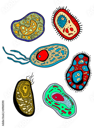 Amebas, amoebas, microbes and germs set
