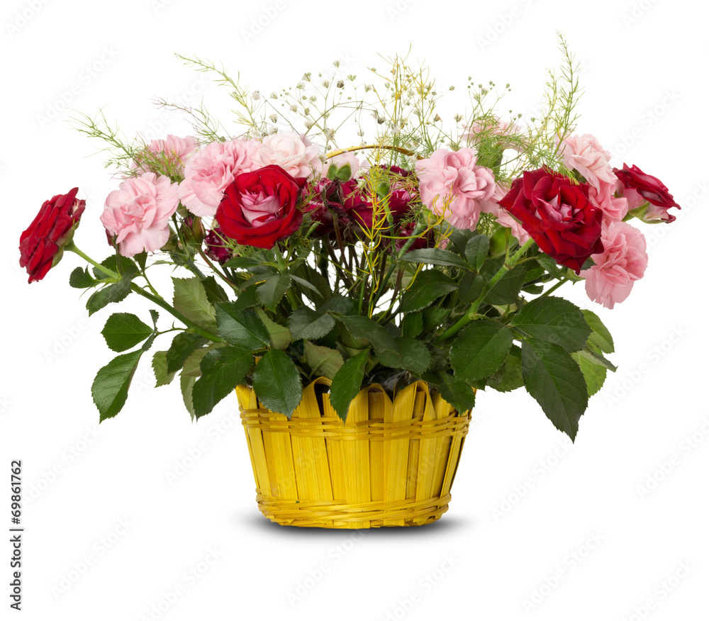 Basket of roses on the white background