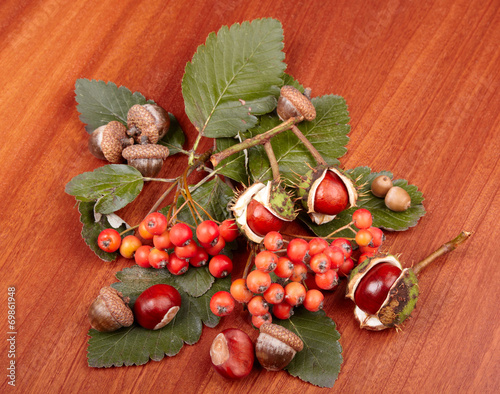 berries and green leaves of rowan