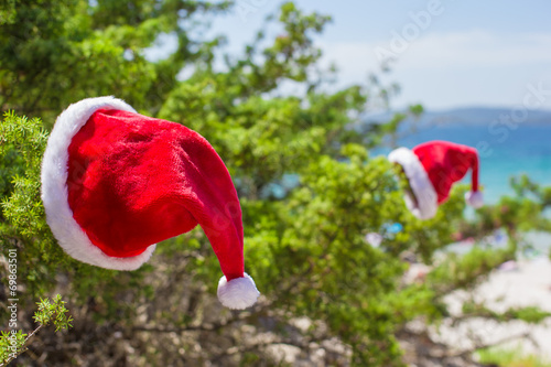 Santa hat on spruce bush background the turquoise sea on