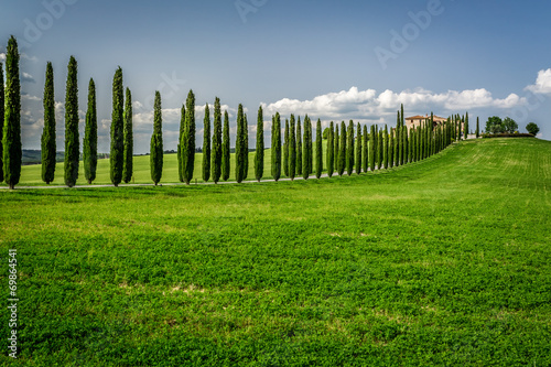 Road with Cypresses to agritourism in Tuscany