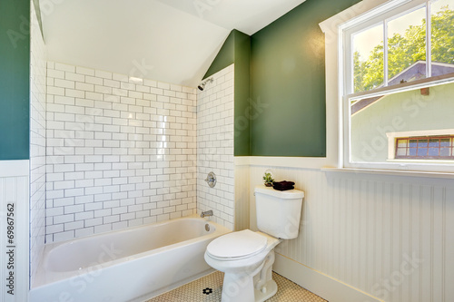 Bathroom interior with white and green wall trim