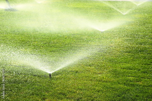 garden sprinkler on the green lawn