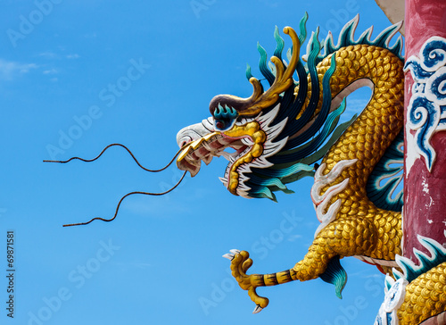 Sky blue beautiful  and gold dragon.