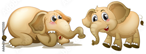 Two playful elephants