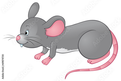 schnuppernde Maus