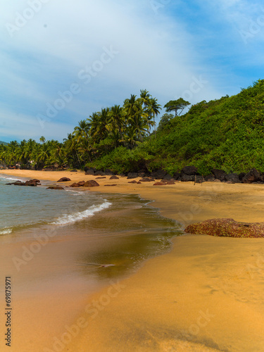 Beach with palm trees