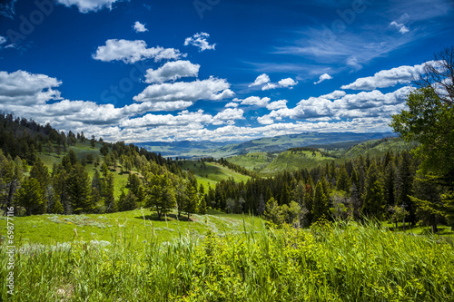 Fototapeta Naklejka Na Ścianę i Meble -  Beautiful landscape of meadow and forest in mountains.