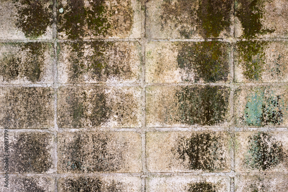 Fototapeta premium SONY DSC