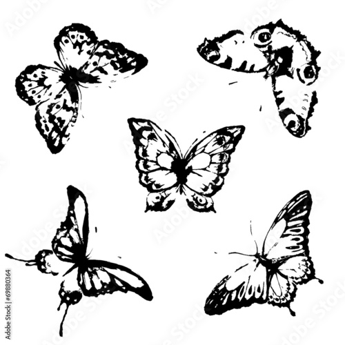 butterflies design