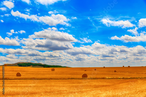 round bale of straw in the meadow