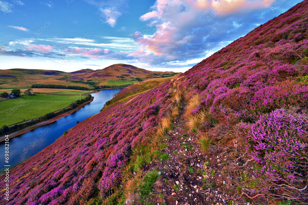 Naklejka premium Piękny krajobraz szkockiej przyrody