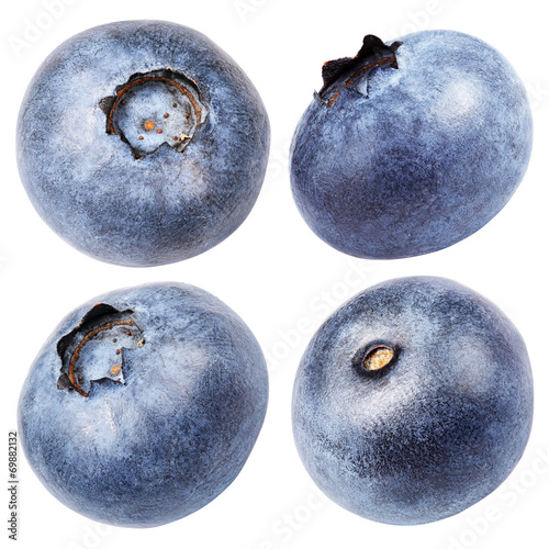 Print op canvas Set of blueberry berry isolated on white with clipping path