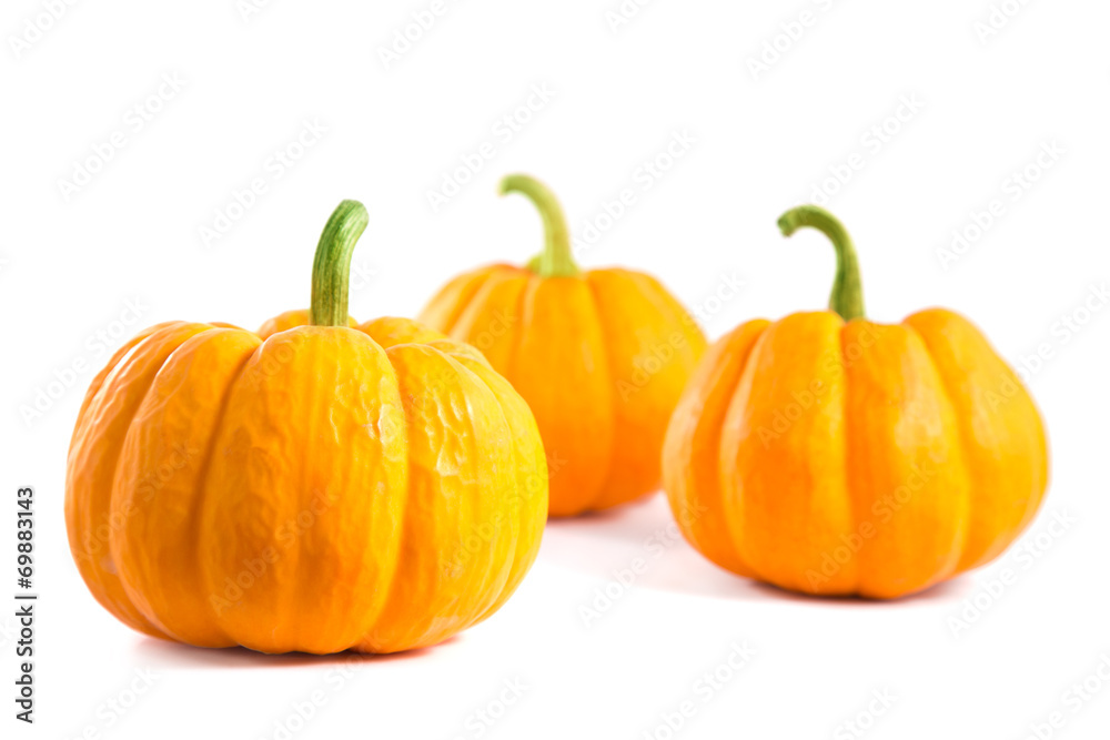 Obraz premium Small decorative orange pumpkins