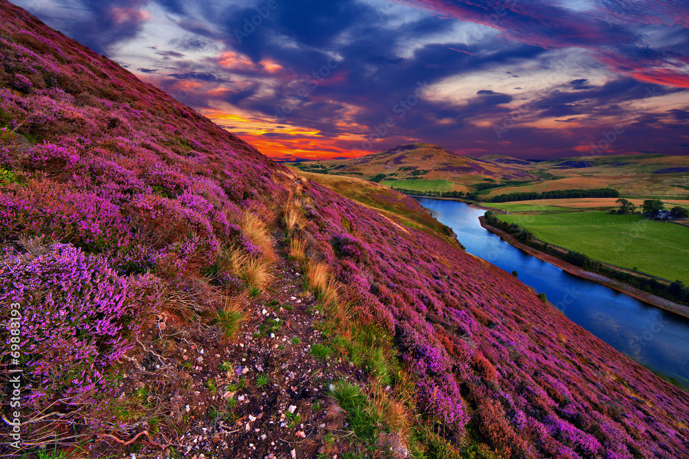 Fototapeta premium Beautiful landscape of scottish nature