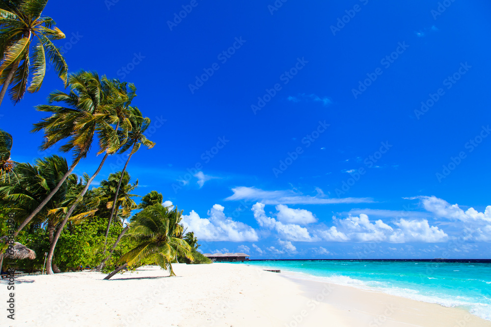 Obraz premium tropical beach