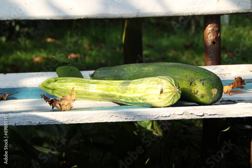 Geerntete Zucchinis auf einer Bank photo