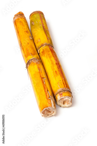 Sugarcane isolated on a white studio background.