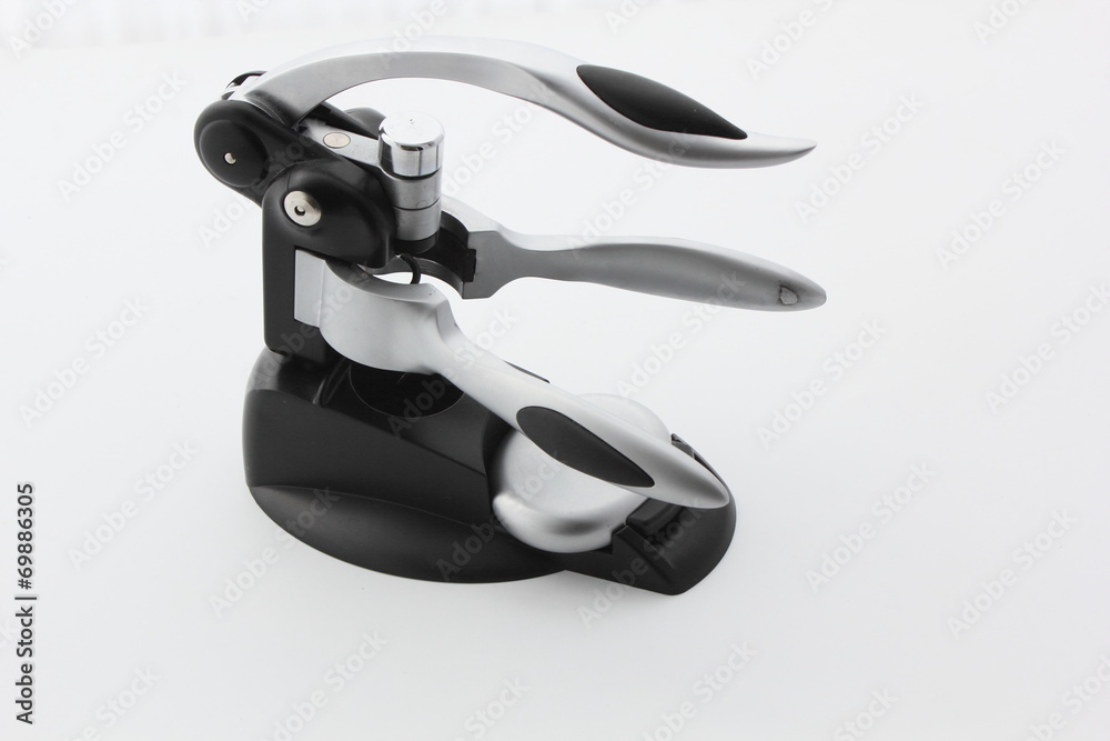 Obraz premium Sur mon socle