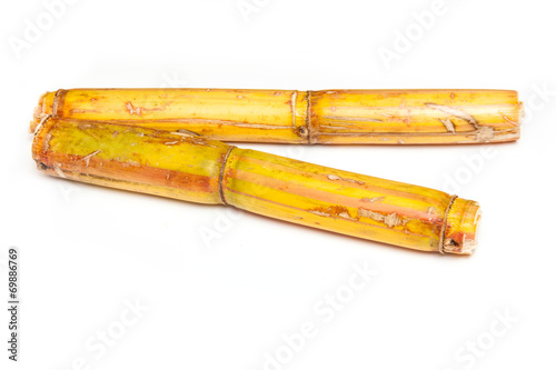 Sugarcane isolated on a white studio background.
