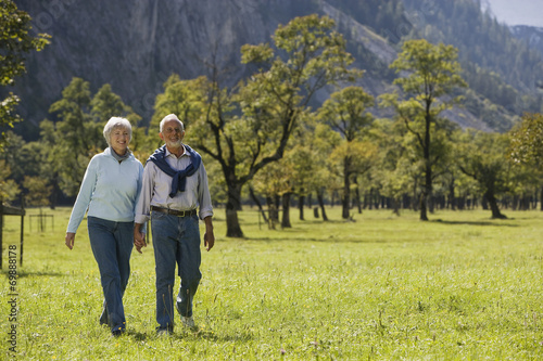   sterreich Ahornboden Senior Paar zu Fu     ber Wiese Hand in Hand