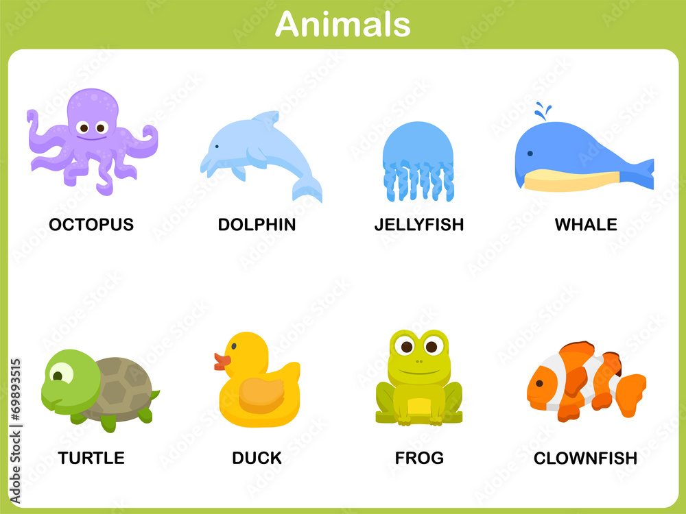 Cute vector Set of Animal for kids : Flat design