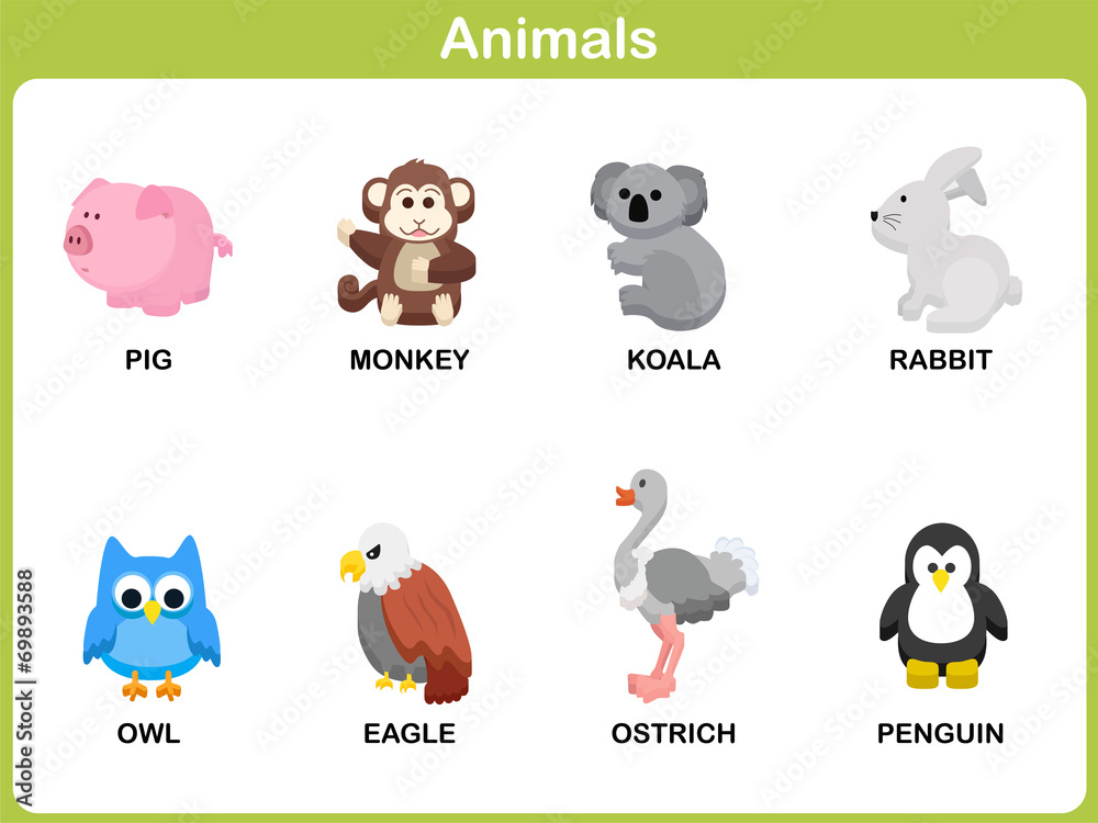 Cute vector Set of Animal for kids : Flat design